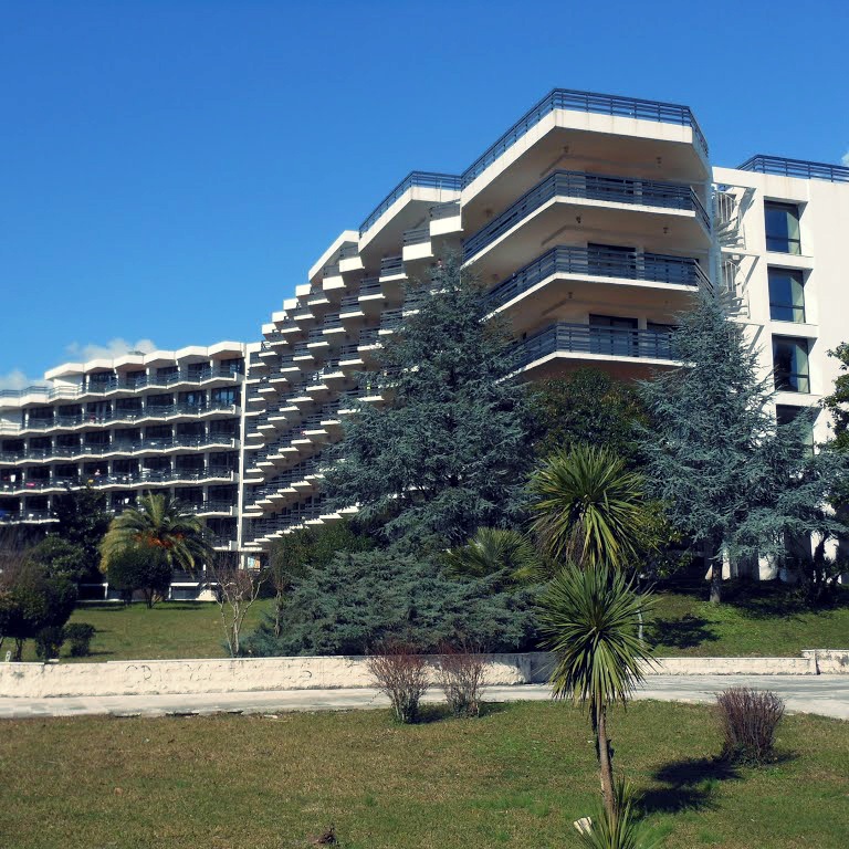 Institut "Dr Simo Milošević"